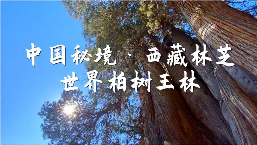 穿越星海