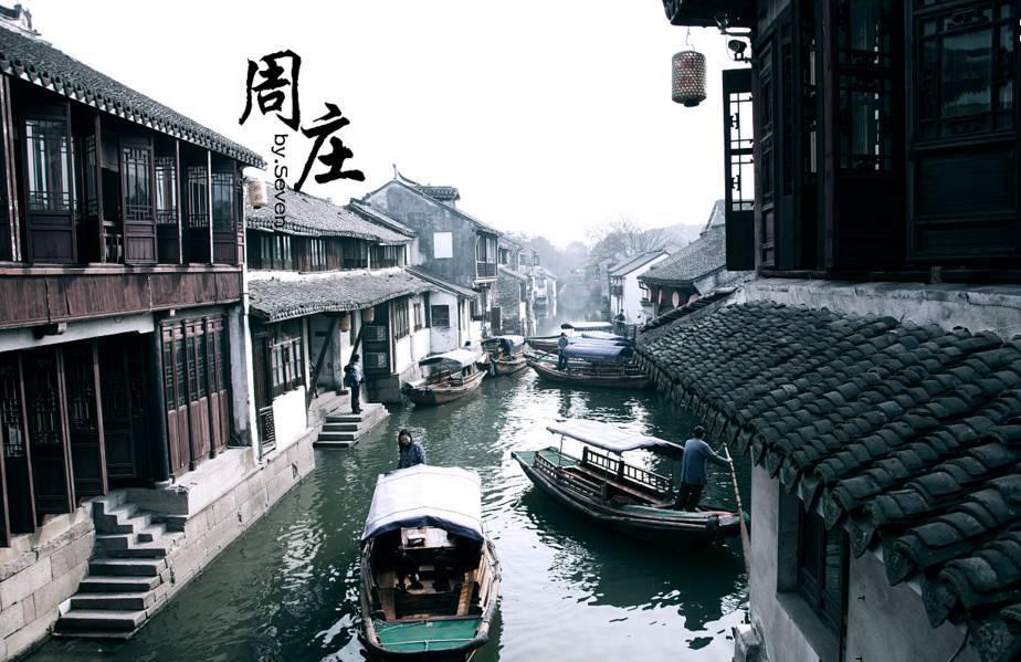让动物飞一会